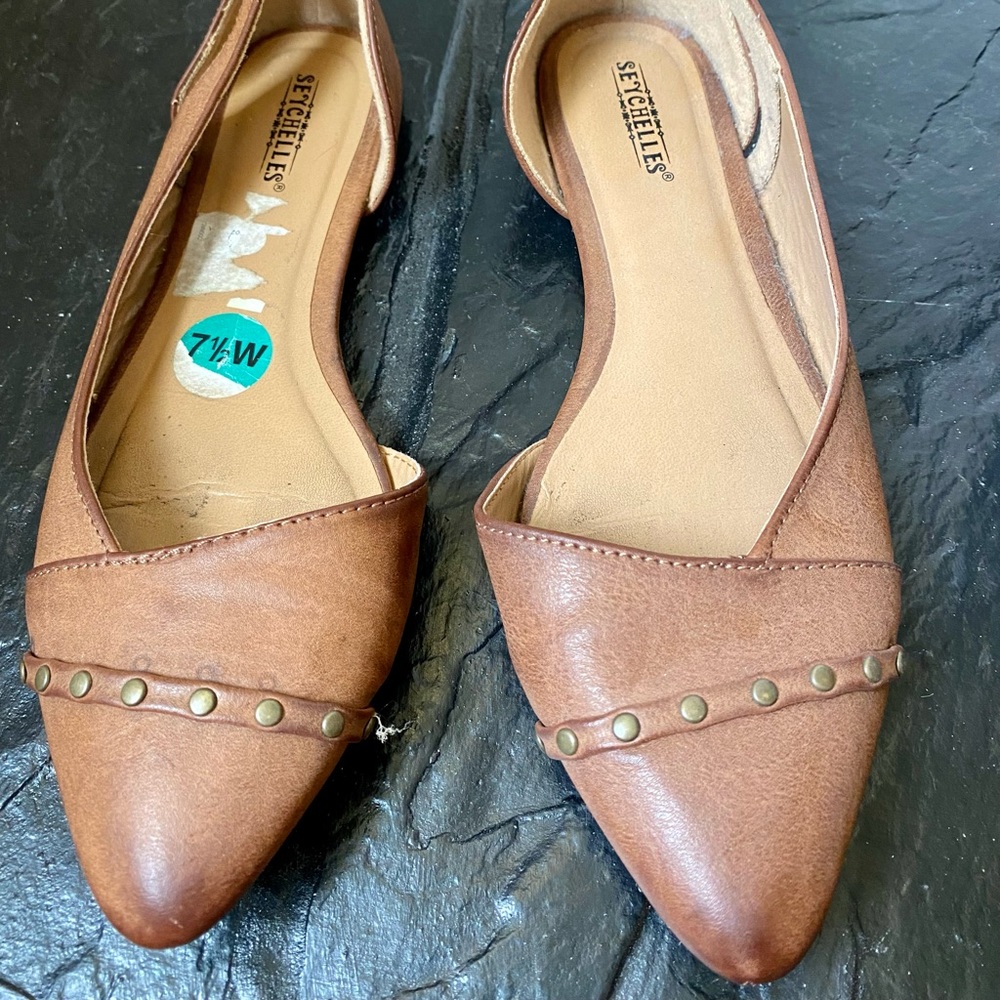 Sychelles Pointy Toe Flats 7.5